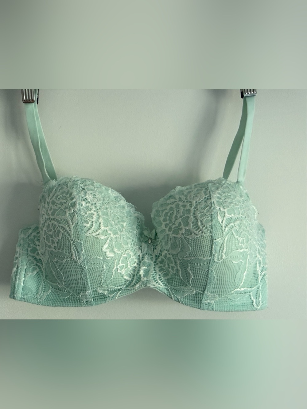 La Vie En Rose Mint Lace Demi Bra